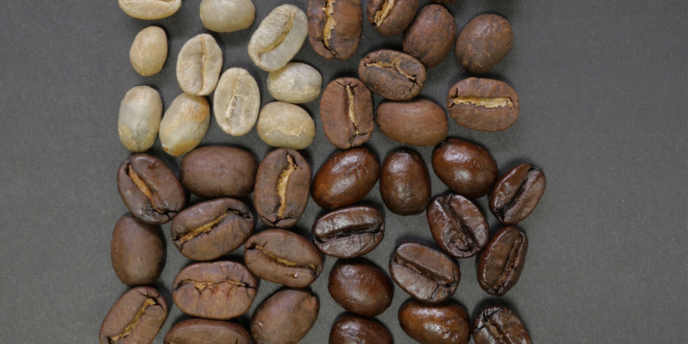 Coffee Roast Spectrum: Unveiling a World of Flavors