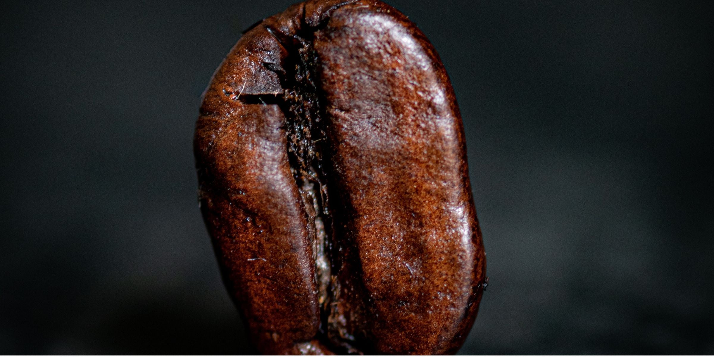 Is Coffee Good For You: Exploring the Science Behind the World's Favorite Beverage